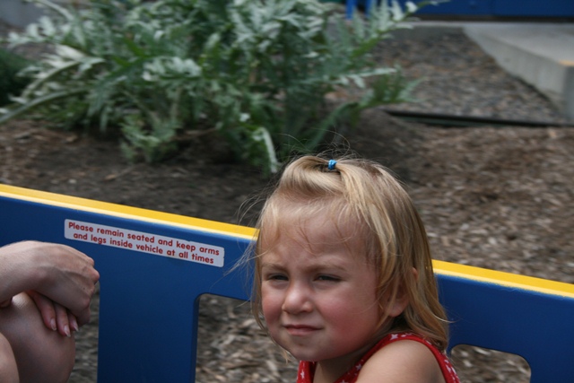 img_6051_day4_2012_247.jpg