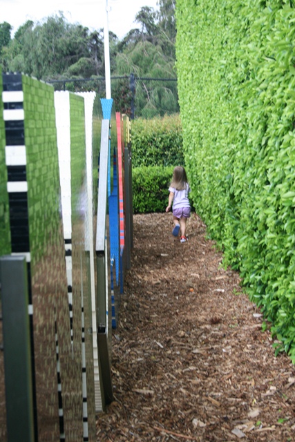 img_6102_day4_2012_298.jpg