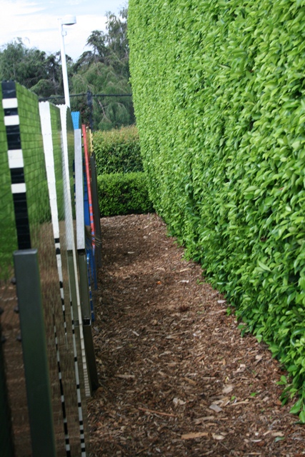 img_6104_day4_2012_300.jpg