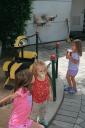 img_5931_day4_2012_127.jpg