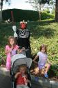 img_5957_day4_2012_153.jpg
