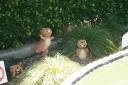 img_5961_day4_2012_157.jpg