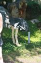img_5970_day4_2012_166.jpg