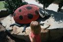 img_5984_day4_2012_180.jpg