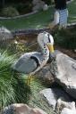 img_5986_day4_2012_182.jpg