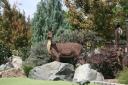 img_5992_day4_2012_188.jpg