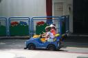 img_6005_day4_2012_201.jpg