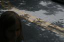 img_6011_day4_2012_207.jpg