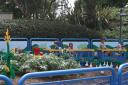img_6019_day4_2012_215.jpg