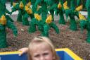 img_6052_day4_2012_248.jpg