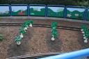img_6058_day4_2012_254.jpg