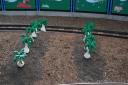img_6059_day4_2012_255.jpg