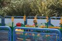 img_6071_day4_2012_267.jpg