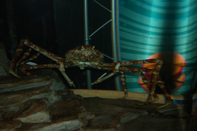 img_4605_resize008.jpg
