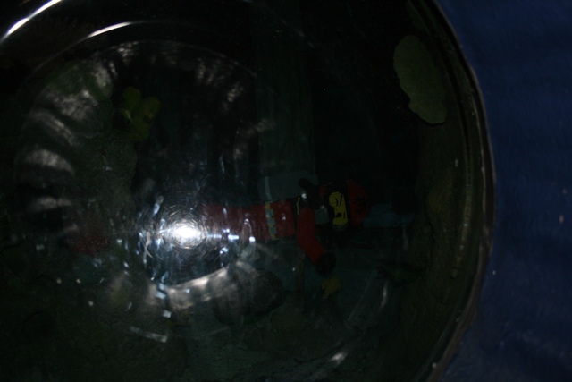 img_4608_resize011.jpg