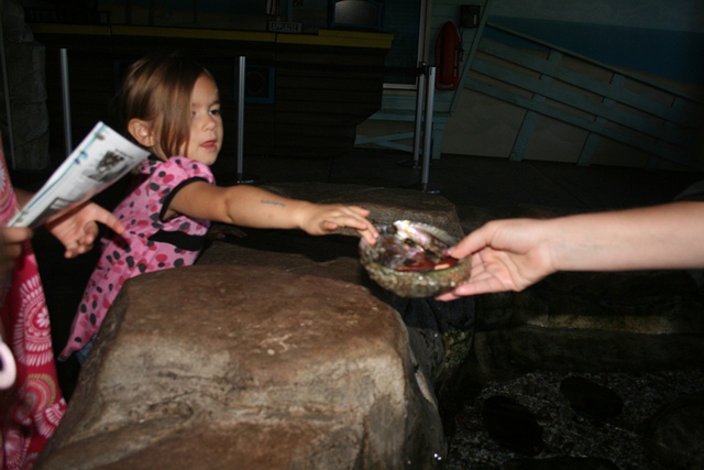img_4610_resize013.jpg