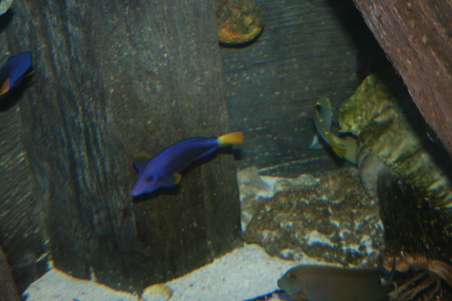 img_4619_resize022.jpg