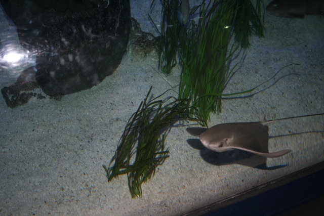 img_4625_resize028.jpg