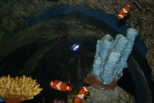 img_4631_resize034.jpg