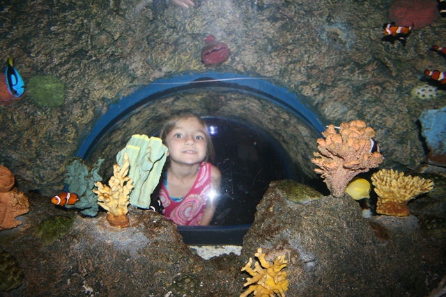 img_4632_resize035.jpg