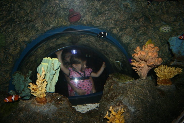 img_4634_resize037.jpg