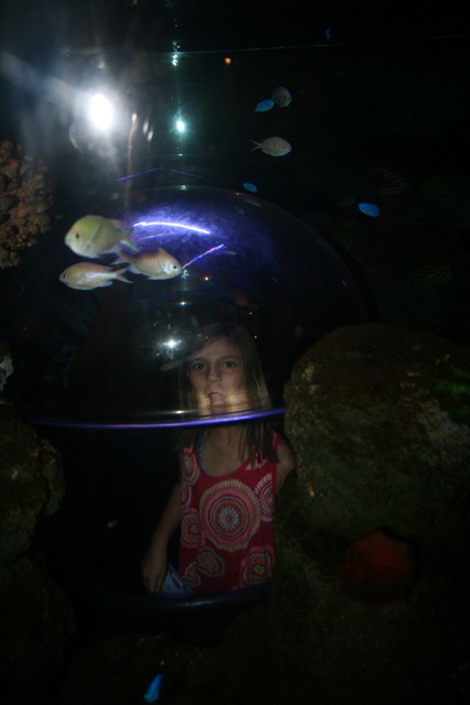 img_4636_resize039.jpg