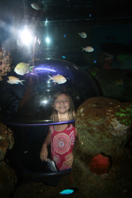 img_4637_resize040.jpg
