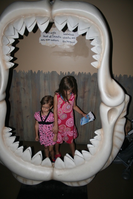 img_4638_resize041.jpg