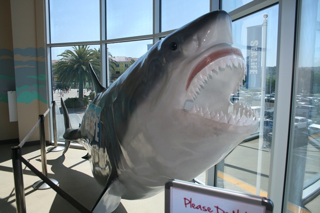 img_4643_resize046.jpg