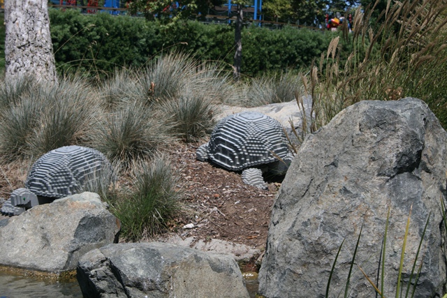 img_4650_resize053.jpg