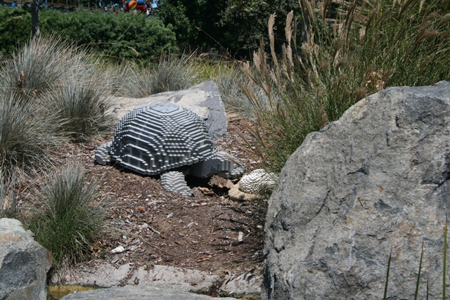 img_4651_resize054.jpg