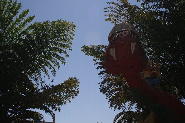 img_4658_resize061.jpg