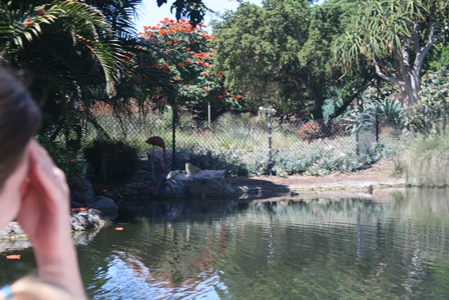 img_4664_resize067.jpg