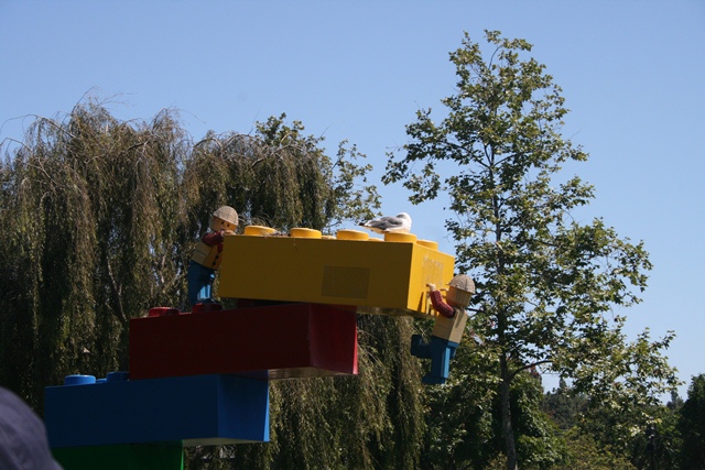 img_4666_resize069.jpg