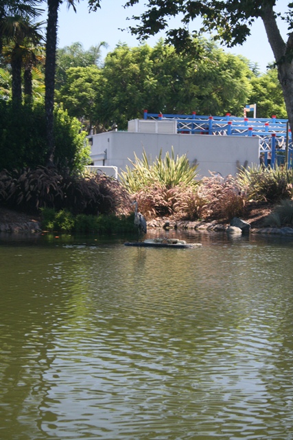 img_4671_resize074.jpg