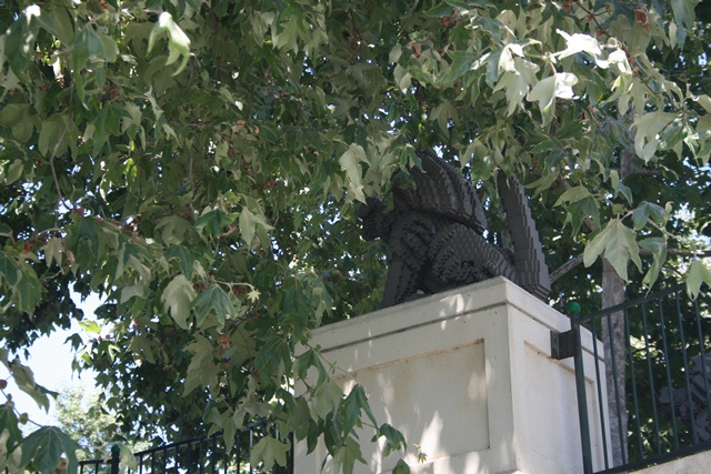 img_4685_resize088.jpg