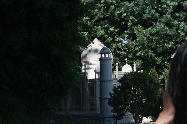 img_4686_resize089.jpg