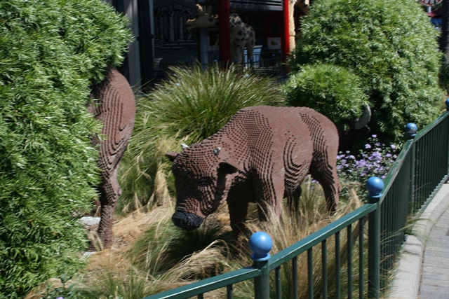 img_4803_resize206.jpg
