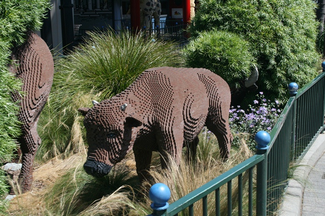 img_4804_resize207.jpg