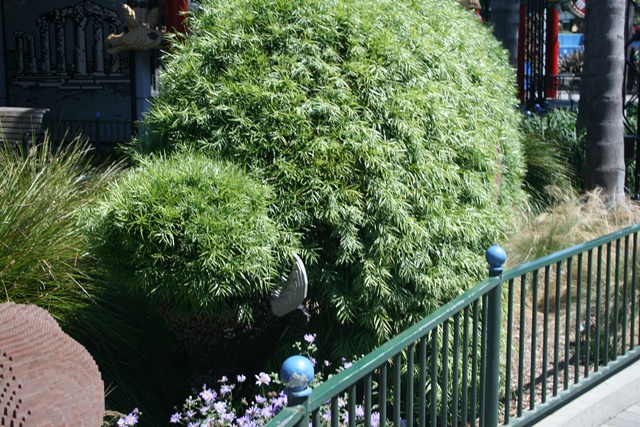 img_4805_resize208.jpg