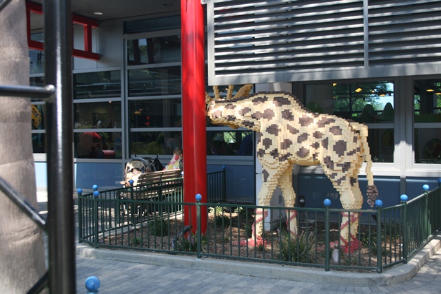img_4816_resize219.jpg