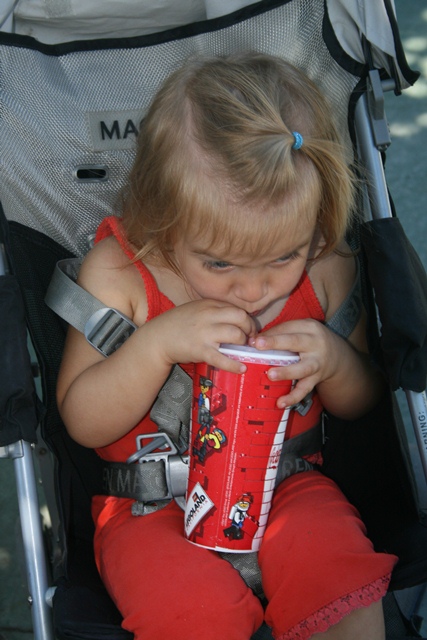img_4833_resize236.jpg