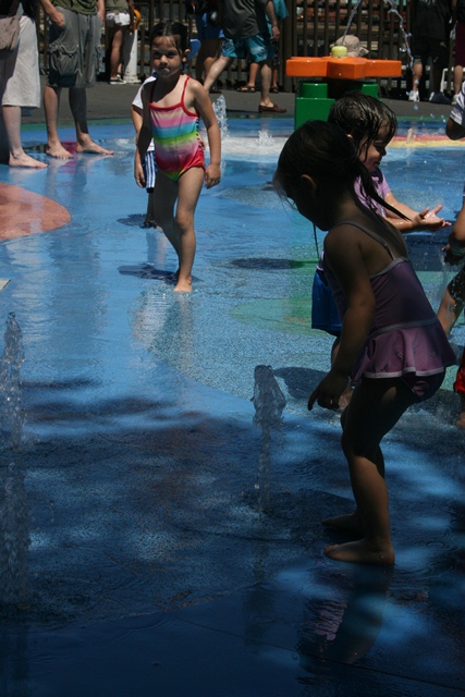 img_4902_resize305.jpg