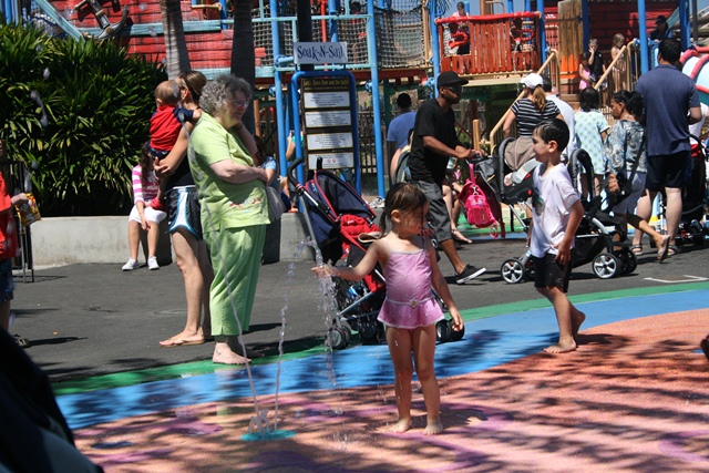 img_4911_resize314.jpg