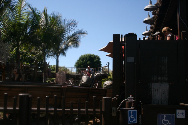 img_4924_resize327.jpg