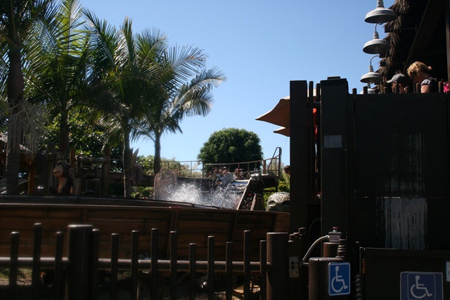 img_4925_resize328.jpg