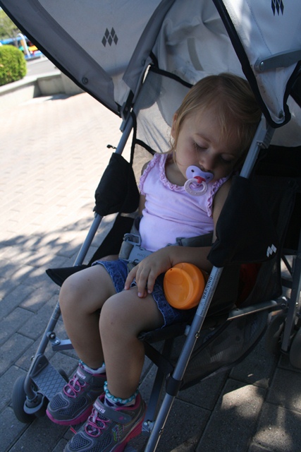 img_4927_resize330.jpg