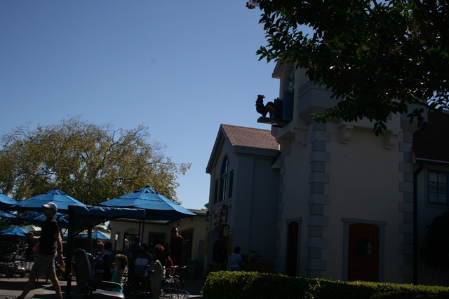 img_4933_resize336.jpg