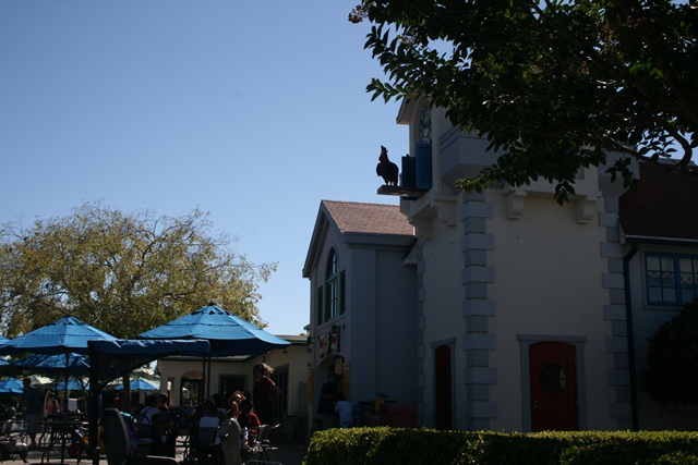 img_4934_resize337.jpg