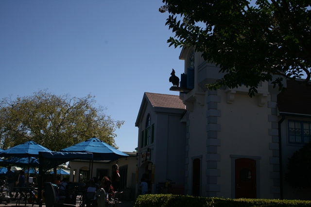 img_4935_resize338.jpg